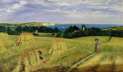 Campo milho, em, a, ilha, de, wight